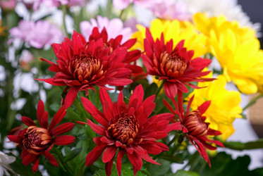 Similar image 916128