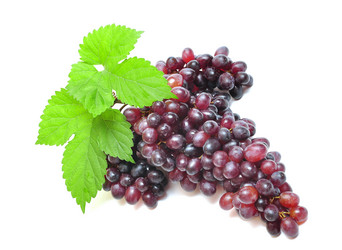 Similar image 916130