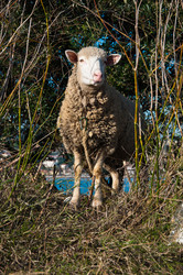 Similar image 916186