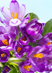 Similar image 916259