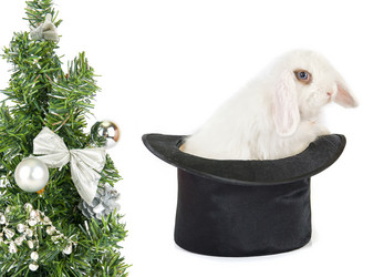 Similar image 916415