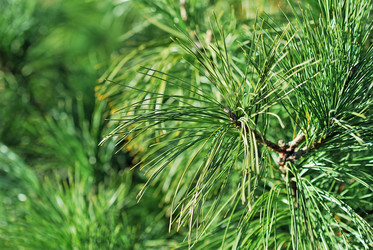 Similar image 916505