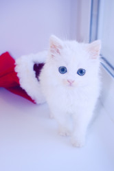 Similar image 917142