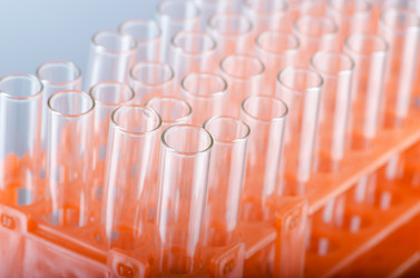 Similar image 917183