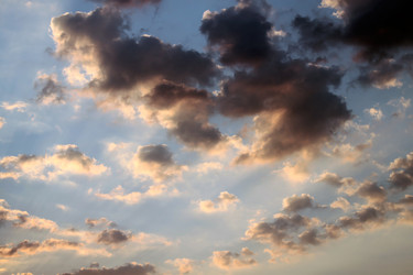 Similar image 917392