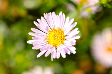 Similar image 917526