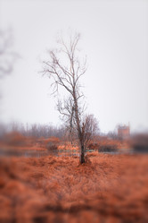 Similar image 917531