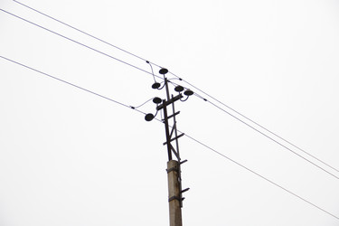 Similar image 917591