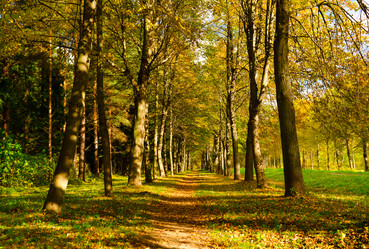 Similar image 917628