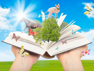 Similar image 917818