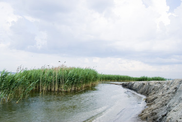 Similar image 917885