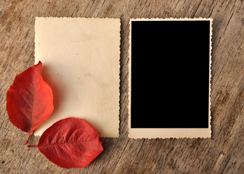 Similar image 917951