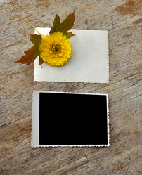 Similar image 917952