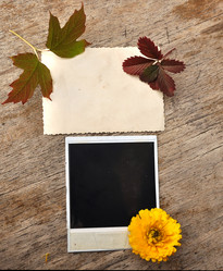 Similar image 917953