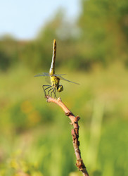 Similar image 917993