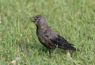 Similar image 918026