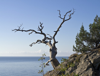 Similar image 918118