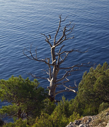 Similar image 918122