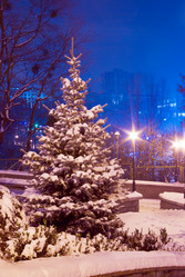 Similar image 918508