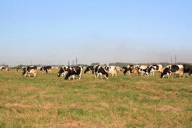 Similar image 918545