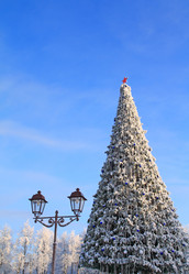 Similar image 918593