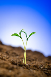 Similar image 918623