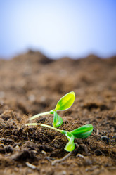 Similar image 918624