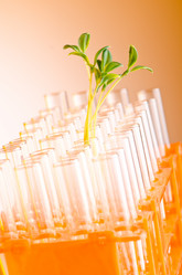 Similar image 918699