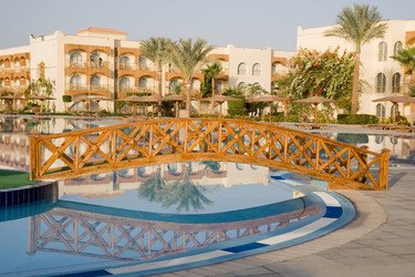 Similar image 919082