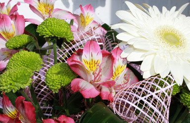 Similar image 919107