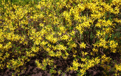 Similar image 919109