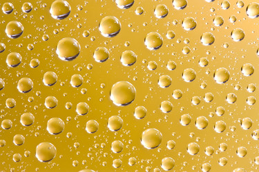 Similar image 919170