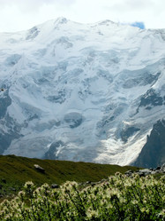 Similar image 919214