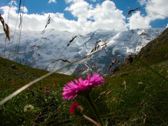 Similar image 919215