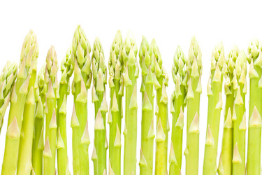 Similar image 919242