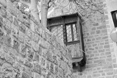 Similar image 919271