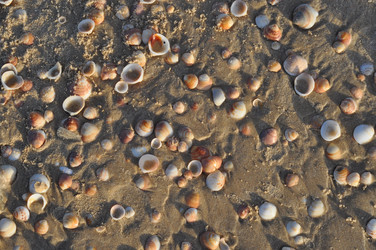 Similar image 919282