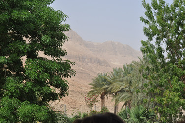 Similar image 919326