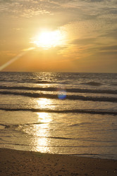 Similar image 919427