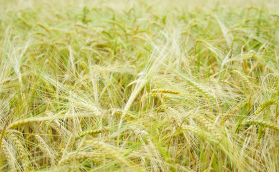 Similar image 919552