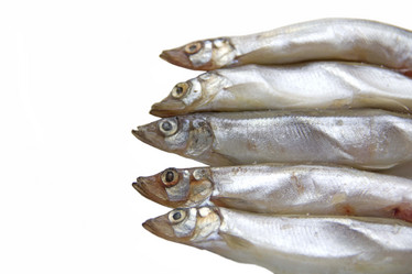 Similar image 919867