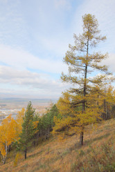 Similar image 920078