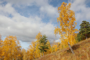 Similar image 920081