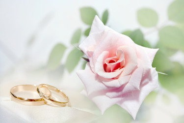 Similar image 920149