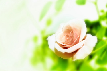 Similar image 920161