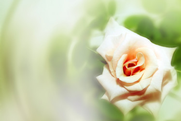 Similar image 920169