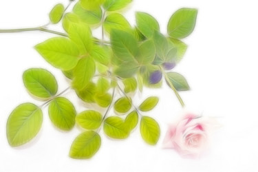 Similar image 920171