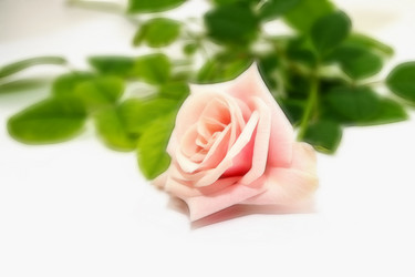 Similar image 920172