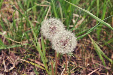 Similar image 920191