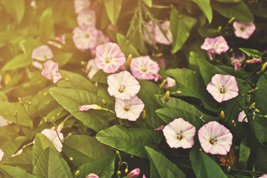 Similar image 920208